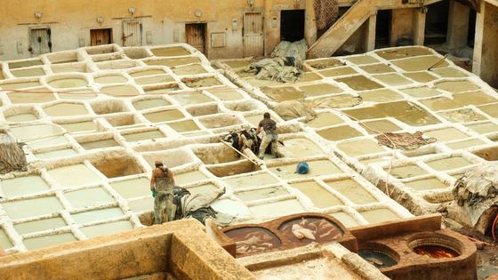 Les tanneries et la médina de Fès
