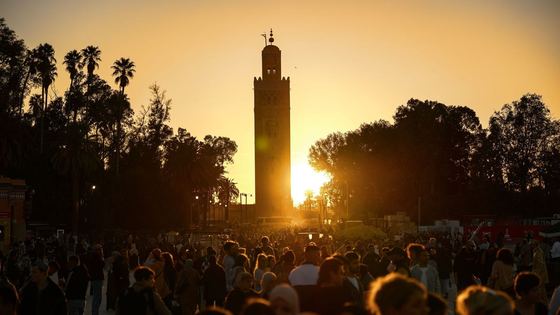Le minaret de la Koutoubia et les toits de Marrakech