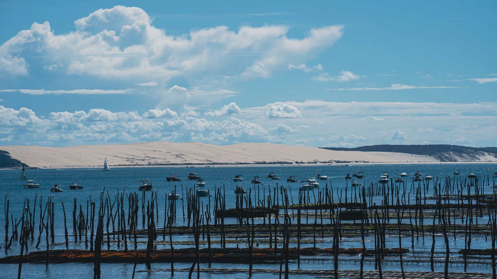 Le bassin d'Arcachon